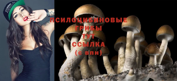 марки nbome Нязепетровск