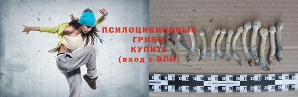 кристаллы Новодвинск