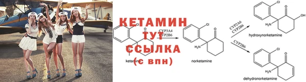 каннабис Новозыбков