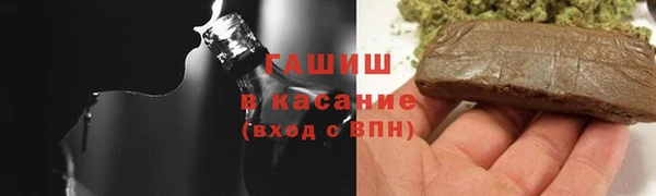 крисы Няндома