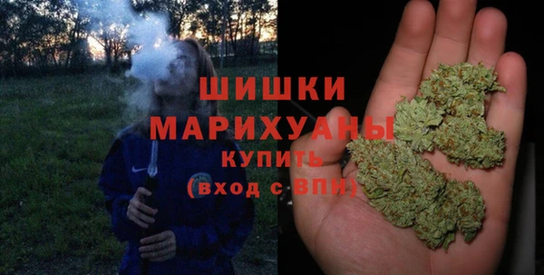 каннабис Новозыбков