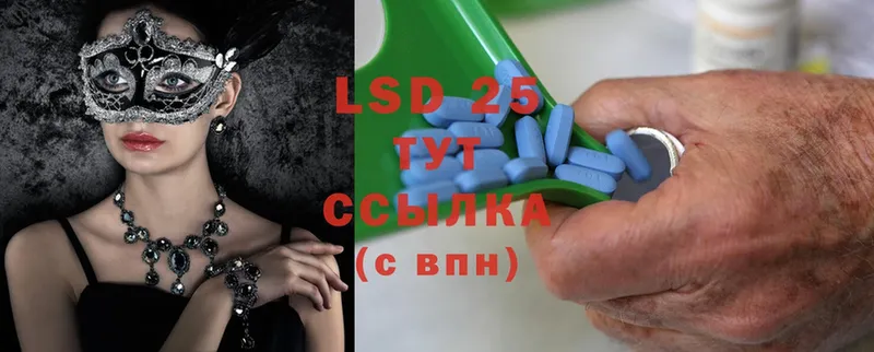 LSD-25 экстази кислота  продажа наркотиков  Ковдор 