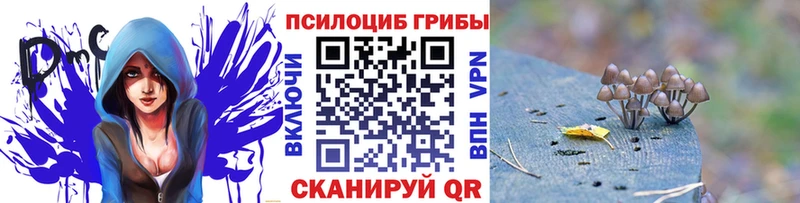 blacksprut сайт  наркотики  Ковдор  Псилоцибиновые грибы Magic Shrooms 